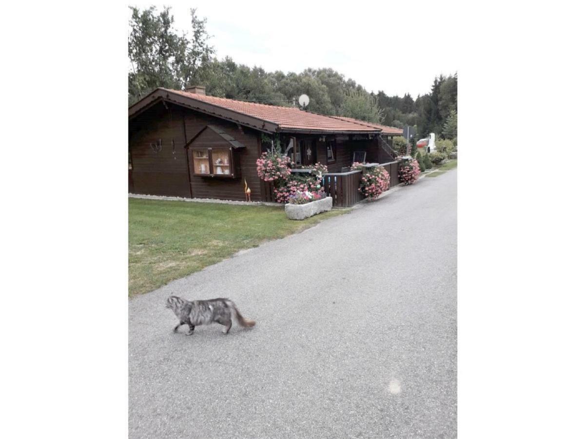 Gerda's Ferienhäuser Eppenschlag Exterior foto